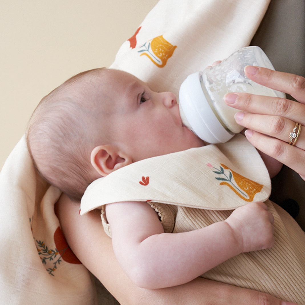 Bandana Bibs